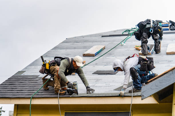 Professional Storm Damage Roof Repair technician working in North Apollo, PA